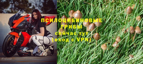 ALPHA-PVP Покровск