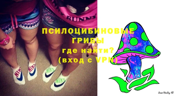 дживик Алексеевка