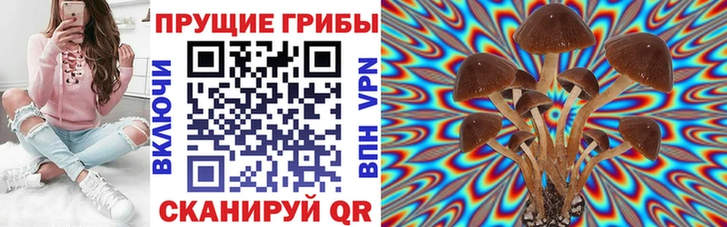 где найти   kraken как зайти  Псилоцибиновые грибы Magic Shrooms  Бавлы 